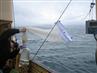 Grønland, September 2006, Planktonnet netop trukket ombord