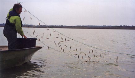 fiskeri i praksis