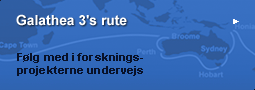 Ruten