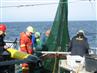 Arbejde på dækket med bundtrawl 4