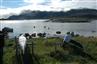 Nuuk, September 2006, 