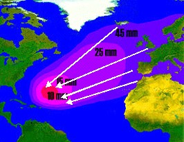 Genetisk forskellige ålebestande