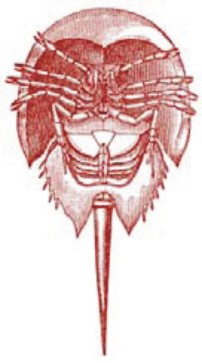 HScrab_logo.jpg