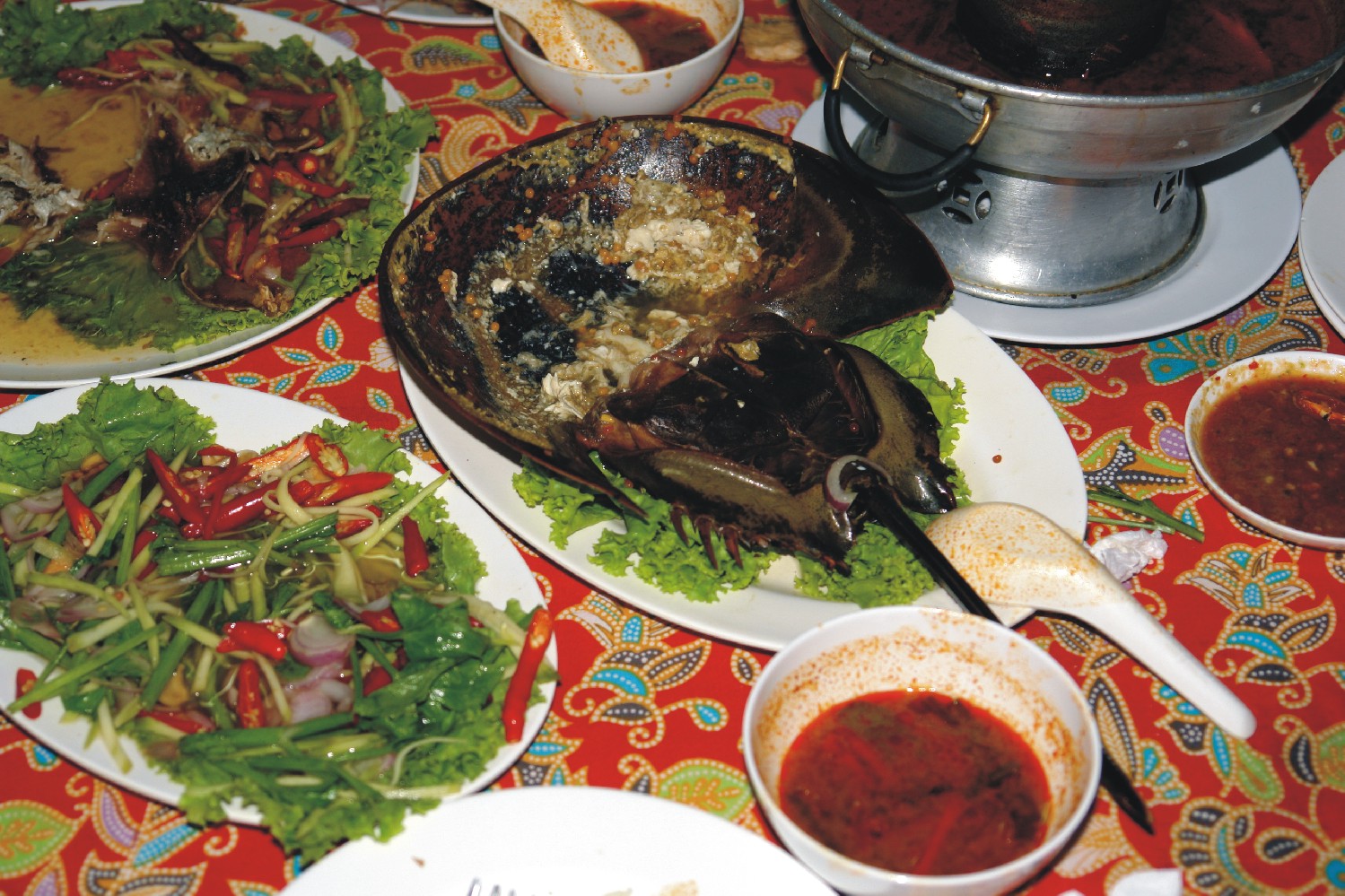Thailand4.jpg