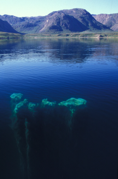 Ikkafjord3