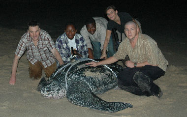 Ghana tagging team_2007