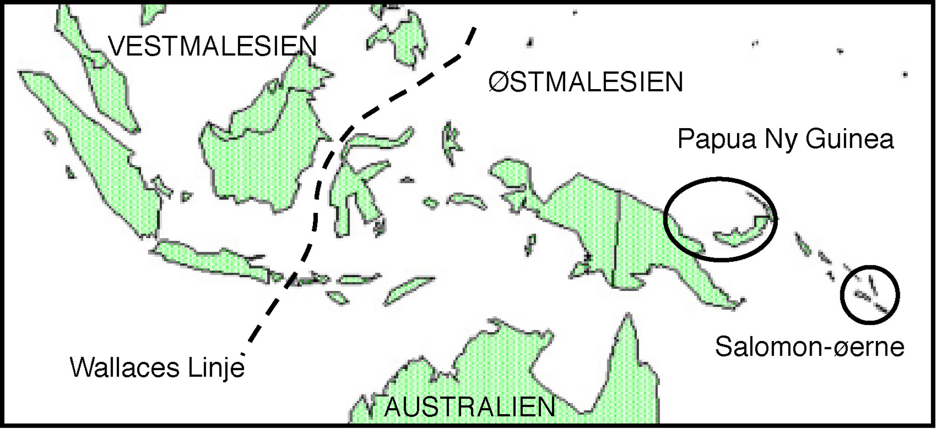 malesia99.jpg