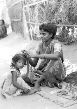 Laksmi3.jpg