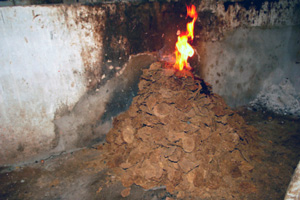 Burning of mercury