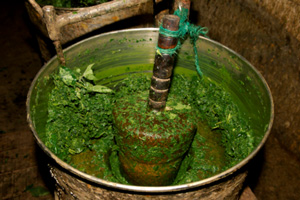 Purification of mercury