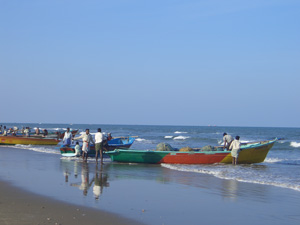 Stranden