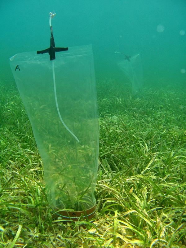 fosformobilisering 1